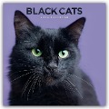 Black Cats - Schwarze Katzen 2024 - Carousel Calendar