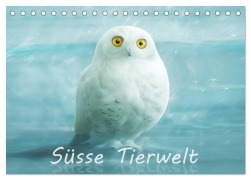 Cover-Bild zum Titel 'Süsse Tierwelt / CH-Version / Geburtstagskalender (Tischkalender 2026 DIN A5 quer), CALVENDO Monatskalender' von 'Silvio Schoisswohl'