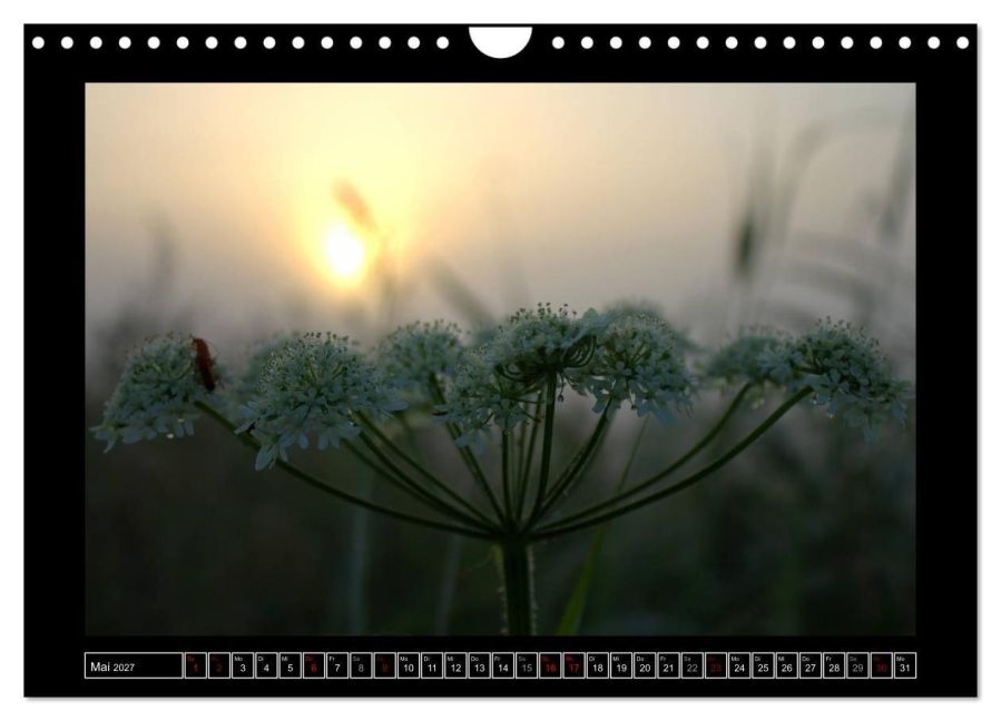InsideView 10