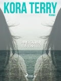 Cover-Bild zum Titel 'Kora Terry' von 'Hans-Caspar von Zobeltitz'