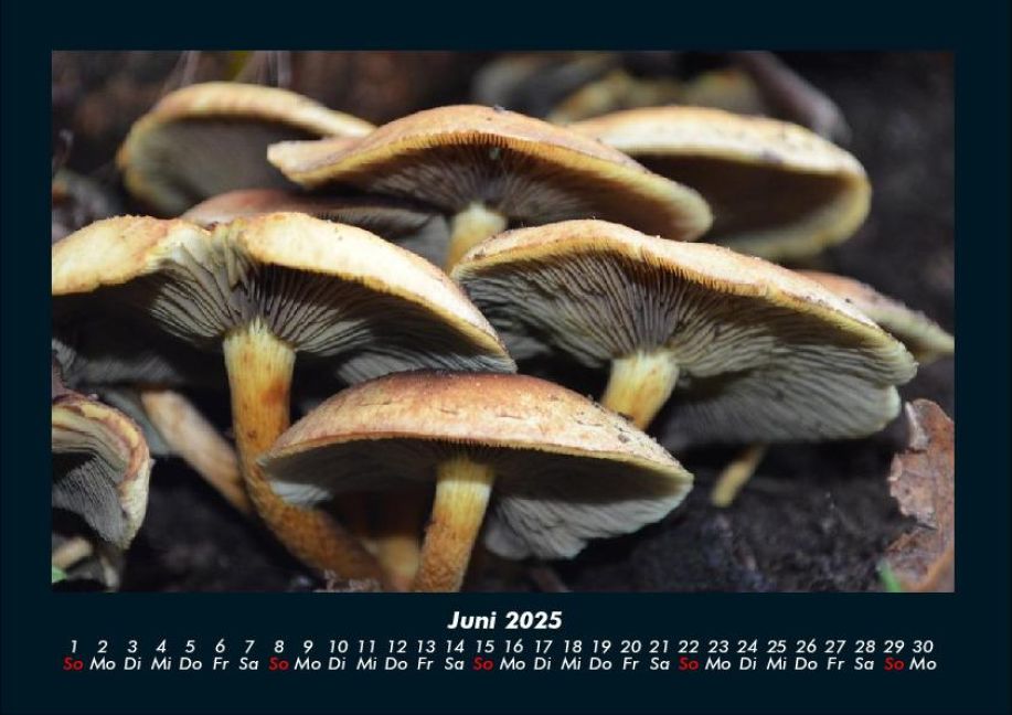 InsideView 10