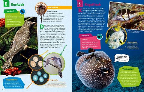 InsideView 11