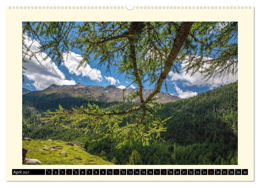 InsideView 9