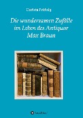 Cover-Bild zum Titel 'Die wundersamen Zufälle im Leben des Antiquar Max Braun' von 'Christa Pridnig'