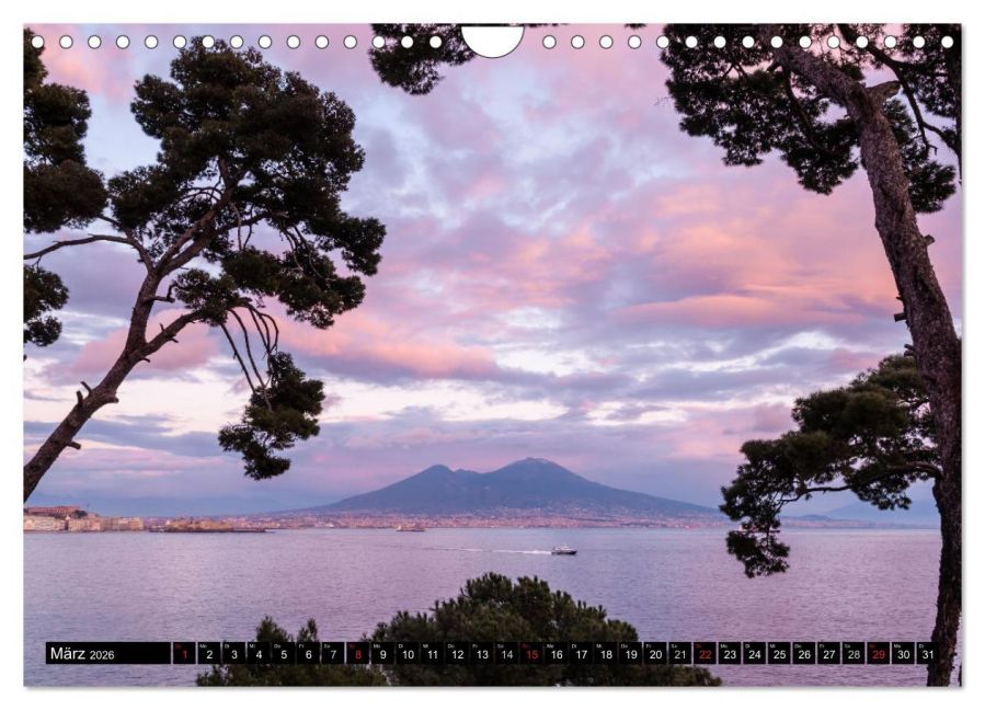 InsideView 8