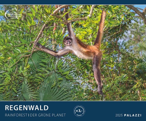 PALAZZI - Regenwald 2025 Wandkalender, 60x50cm, Posterkalender mit majestätischen Aufnahmen aus der grünen Wildnis, hochwertige Fotografie, eine Reise in die Tropen, internationales Kalendarium - 