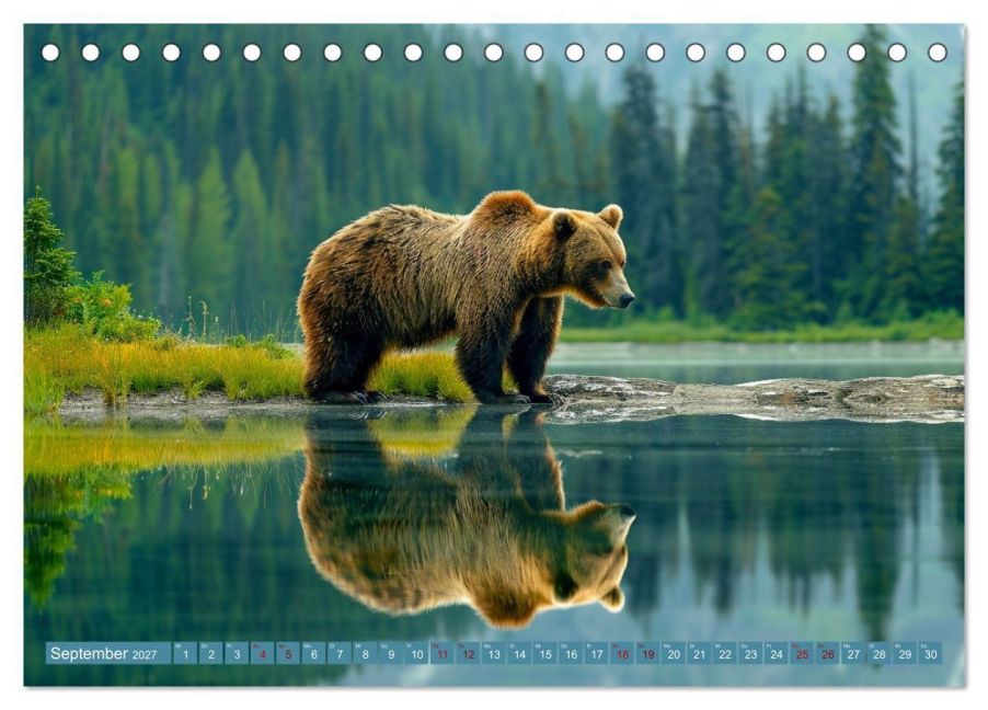InsideView 14