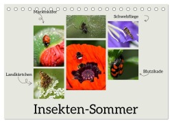 Cover-Bild zum Titel 'Insekten-Sommer (Tischkalender 2026 DIN A5 quer), CALVENDO Monatskalender' von 'Diane und Karsten Jordan'