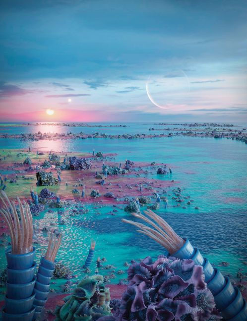 InsideView 12