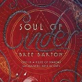 Cover-Bild zum Titel 'Soul of Cinder Lib/E' von 'Bree Barton'