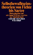 Cover-Bild zum Titel 'Selbstbewußtseinstheorien von Fichte bis Sartre' von ''