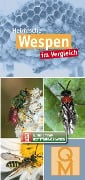 Cover-Bild zum Titel 'Heimische Wespen' von ''
