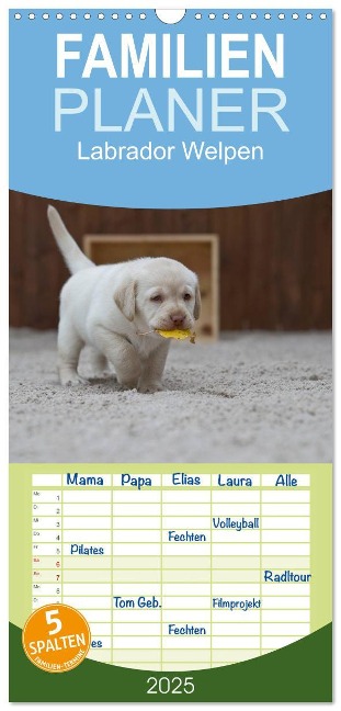 Familienplaner 2025 - Labrador Welpen mit 5 Spalten (Wandkalender, 21 x 45 cm) CALVENDO - Heidi Bollich