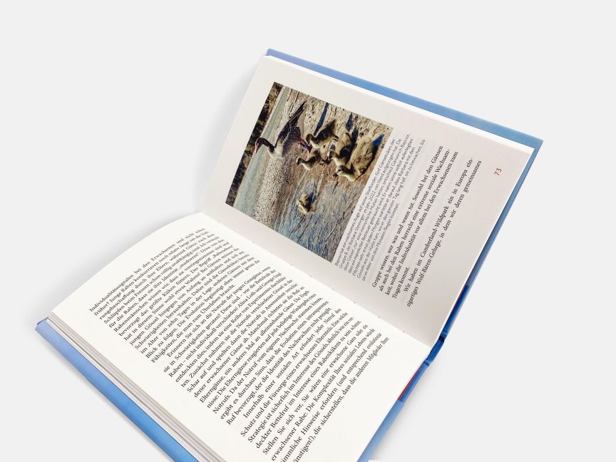 InsideView 5