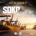 Cover-Bild zum Titel 'Soko Hamburg 10-12' von 'Martin Barkawitz'