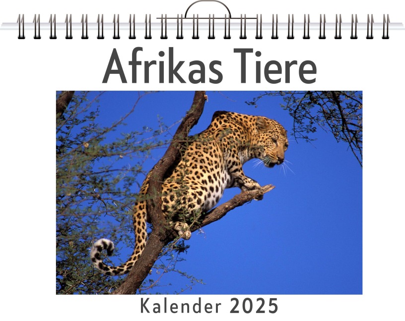 Afrikas Tiere - Clara Schmidt