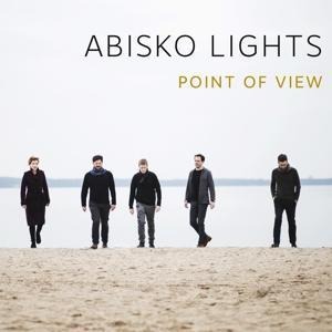 Point Of View - Abisko Lights