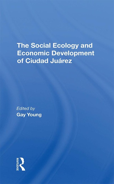 The Social Ecology And Economic Development Of Ciudad Juarez - Gay Young, Robert H Schmidt, Kathleen A Staudt, Oscar J Martinez