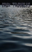 Cover-Bild zum Titel 'Eaux Troubles' von 'Stephan Lemaire'
