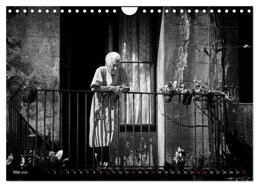 InsideView 10