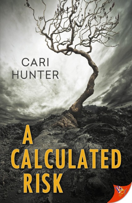 A Calculated Risk - Cari Hunter