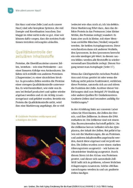 InsideView 12