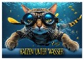 Katzen unter Wasser (Wandkalender 2024 DIN A2 quer), CALVENDO Monatskalender - Renate Utz