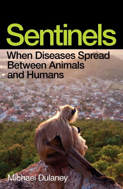 Sentinels - Michael Dulaney