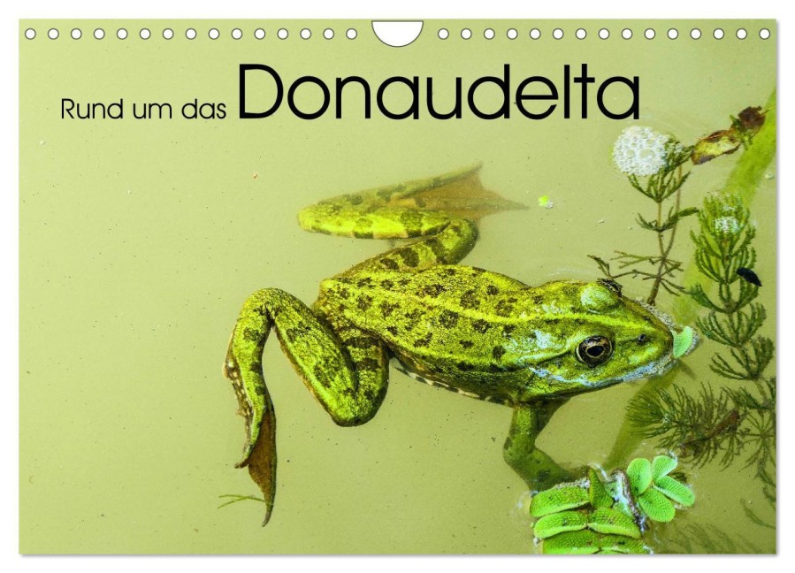 Rund um das Donaudelta (Wandkalender 2026 DIN A4 quer), CALVENDO Monatskalender - Gabi Hampe