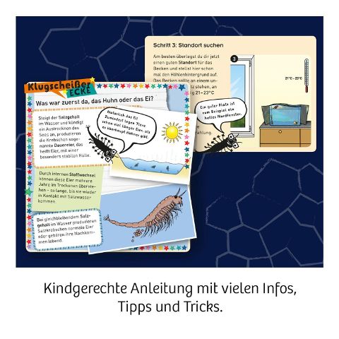 InsideView 4