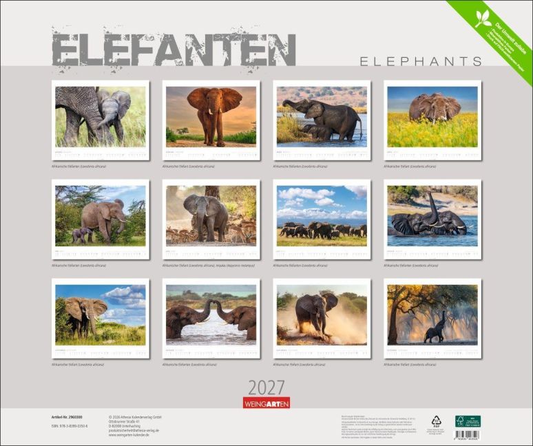 InsideView 15