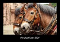 Pferdegeflüster 2024 Fotokalender DIN A3 - Tobias Becker