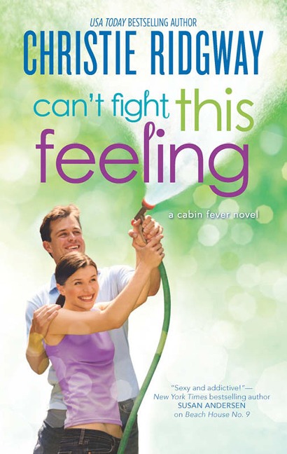 Can't Fight This Feeling - Christie Ridgway