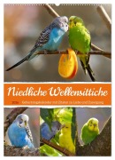 Cover-Bild zum Titel 'Niedliche Wellensittiche (Wandkalender 2026 DIN A2 hoch), CALVENDO Monatskalender' von 'Sabine Löwer'