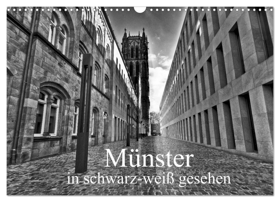 Münster in schwarz-weiß gesehen (Wandkalender 2026 DIN A3 quer), CALVENDO Monatskalender - Paul Michalzik