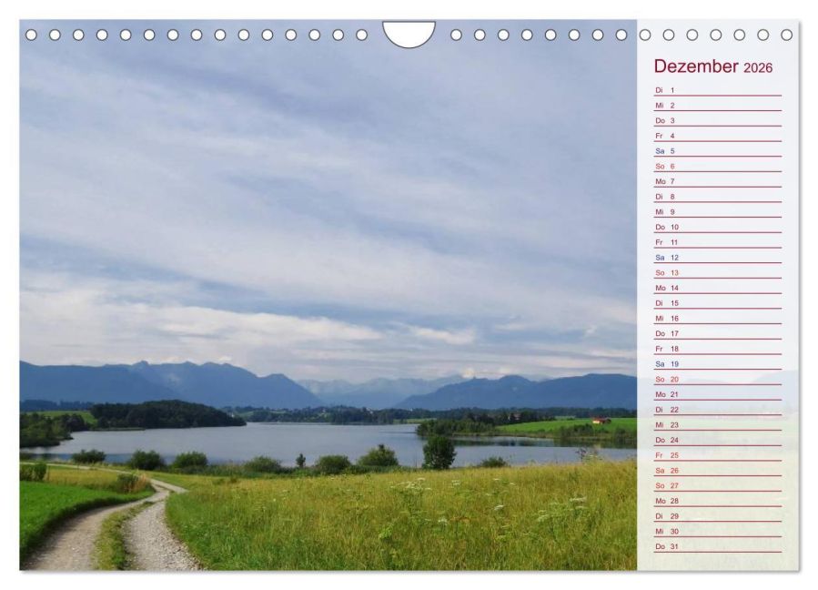 InsideView 4