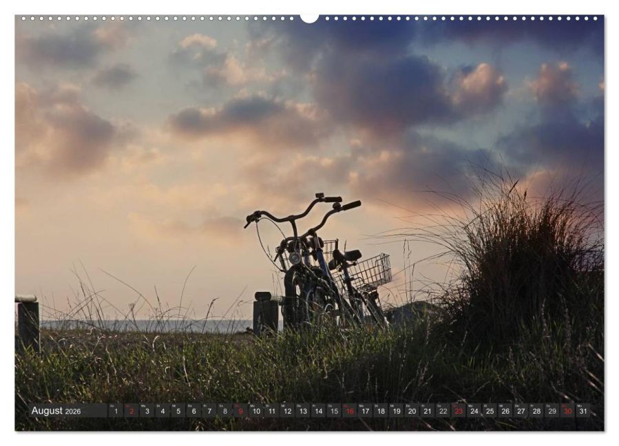 InsideView 12