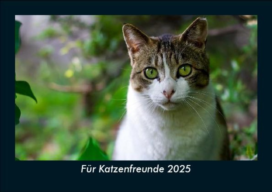 Für Katzenfreunde 2025 Fotokalender DIN A5 - Tobias Becker