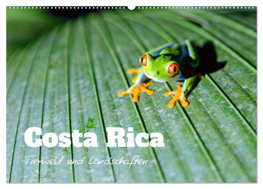 Costa Rica - Tierwelt und Landschaften (Wandkalender 2025 DIN A2 quer), CALVENDO Monatskalender - Matteo Colombo