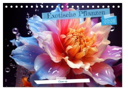 Cover-Bild zum Titel 'Exotische Pflanzen Close-up (Tischkalender 2026 DIN A5 quer), CALVENDO Monatskalender' von 'Natalia O. Schwermer'
