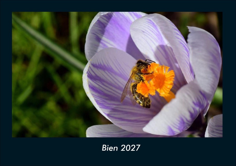 Bien 2027 Fotokalender DIN A4 - Tobias Schmitt, Kevin Heber