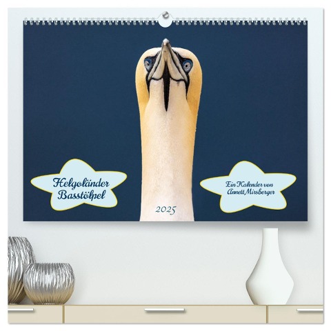 Helgoländer Basstölpel 2025 (hochwertiger Premium Wandkalender 2025 DIN A2 quer), Kunstdruck in Hochglanz - Annett Mirsberger