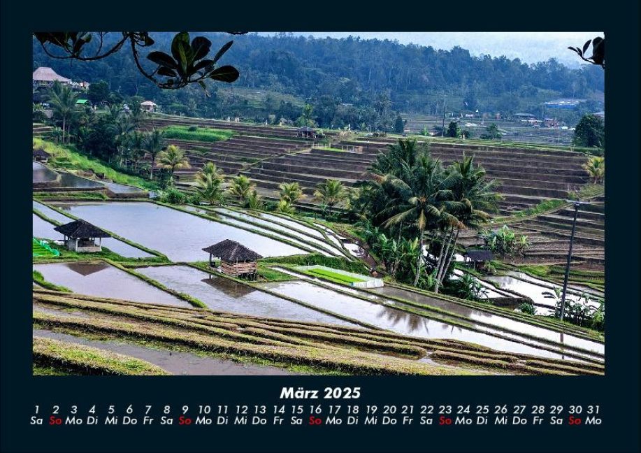 InsideView 7