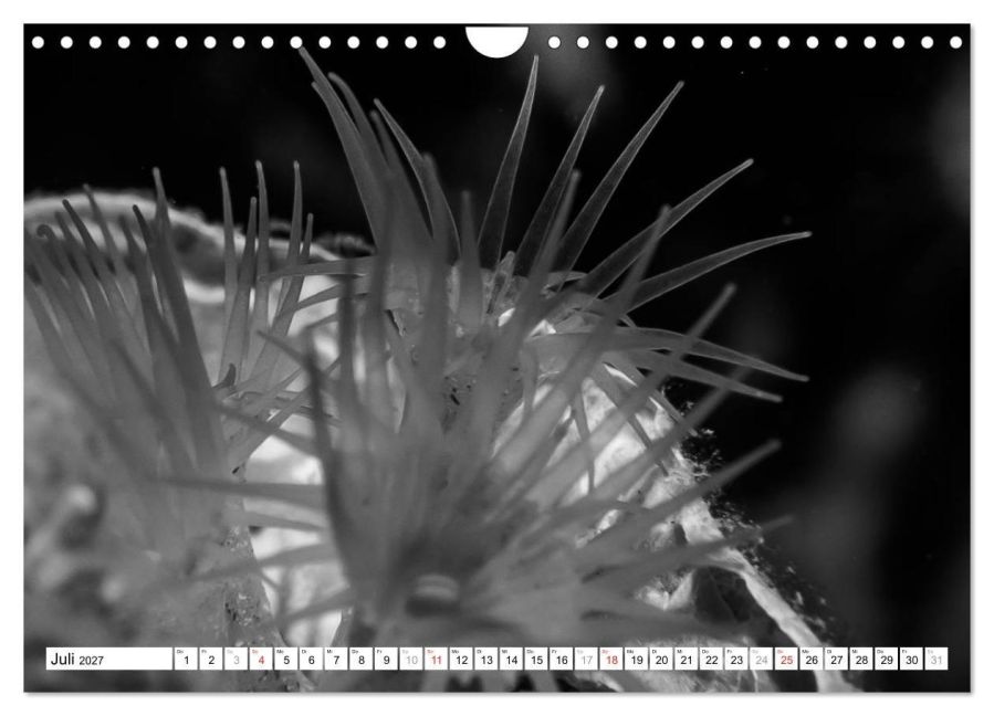 InsideView 12