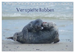 Verspielte Robben (Tischkalender 2026 DIN A5 quer), CALVENDO Monatskalender - Kattobello Kattobello