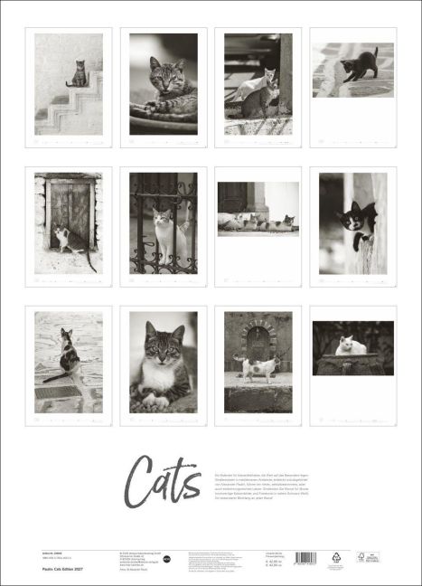 InsideView 15
