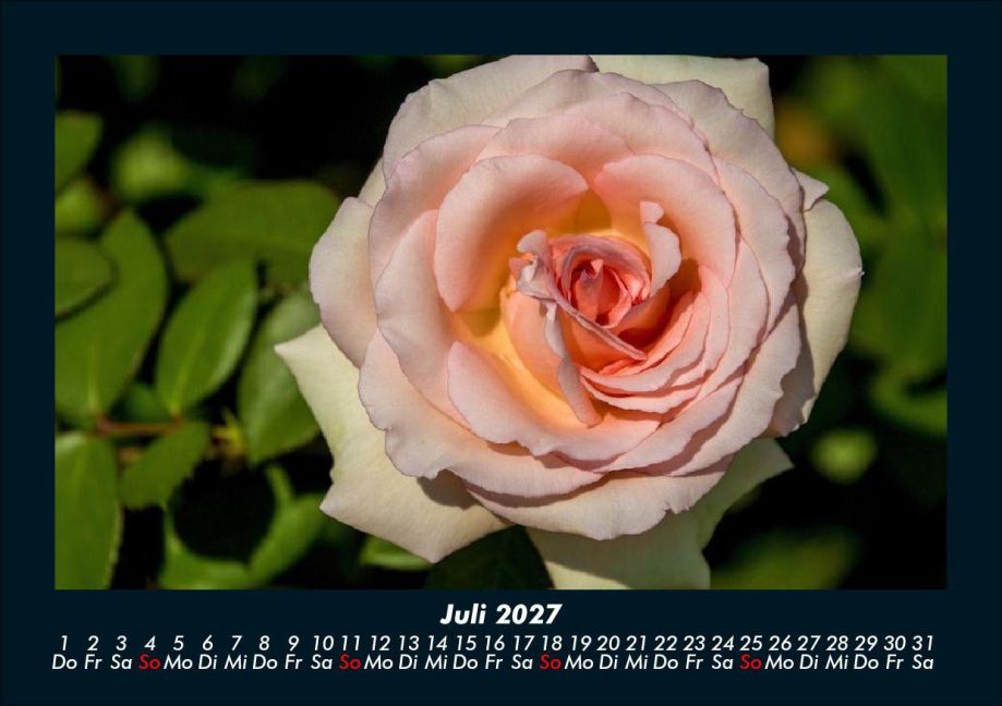 InsideView 11