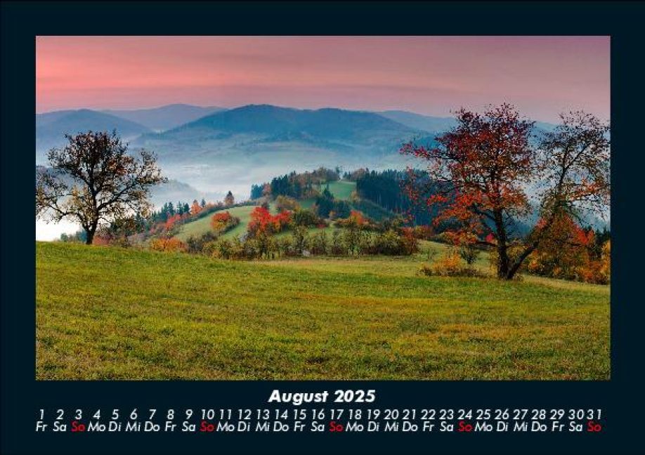 InsideView 12