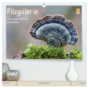 Cover-Bild zum Titel 'Pilzgalerie - Die bunte Welt der Baumpilze (hochwertiger Premium Wandkalender 2026 DIN A2 quer), Kunstdruck in Hochglanz' von 'Beate Wurster'
