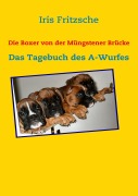 Cover-Bild zum Titel 'Die Boxer von der Müngstener Brücke' von 'Iris Fritzsche'